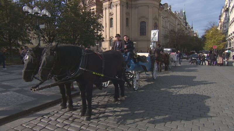 Koňské povozy definitivně zmizí ze Staroměstského náměstí. Zvířata trpí, vysvětlují radní
