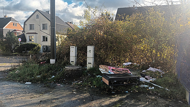 Sedí nám na plotech a v noci budí křikem. V teplických Trnovanech bují prostituce