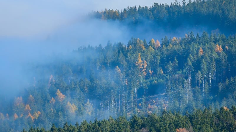 Počasí plné zvratů: Tlaková níže přinese do Česka déšť a sněžení, pak se rekordně oteplí