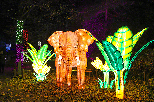 Popusťte uzdu fantazii - vyrazte do Divoké Asie!