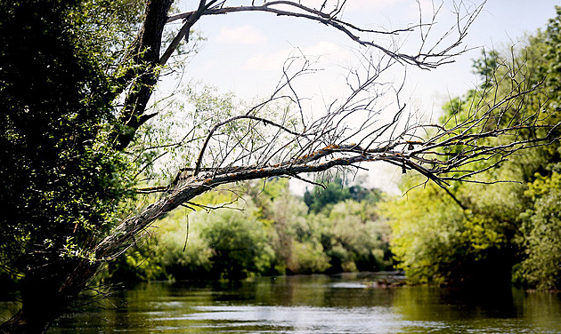Stát chystá úpravu v CHKO Soutok. Skončí šikana majitelů pozemků, říká Macinka