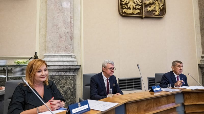 Vláda sníží odvody pro živnostníky i paušalisty. Kdy se mohou těšit na nižší měsíční částky?