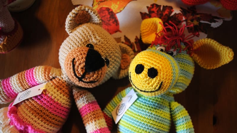 Zemřela Helena Smrkovská. Zakladatelka charitativního spolku podlehla těžké nemoci