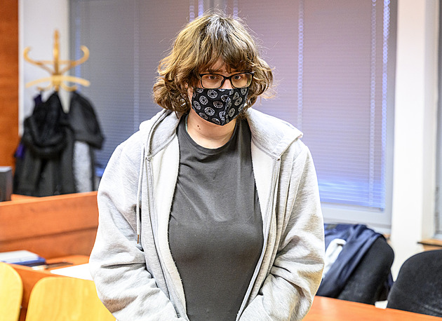 S nožem vyrazila do obchodního centra. Za přípravu vraždy dostala žena osm let