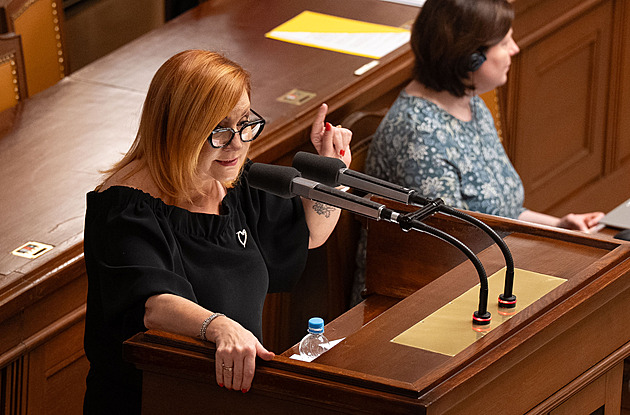 Schillerová hájí schodek. Kupka jí vyčetl porušení zákona i škrty u obrany
