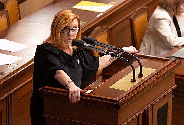 Přinášíte nelegální, nezákonný návrh, vyčetl Schillerové rozpočet Jurečka