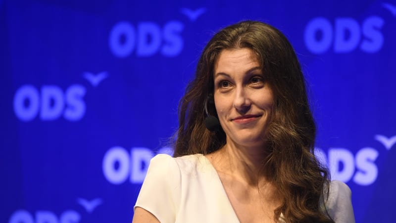 Ubožáku, vrací Decroix úder europoslanci ANO. Ten zpochybnil dopis s přáním smrti