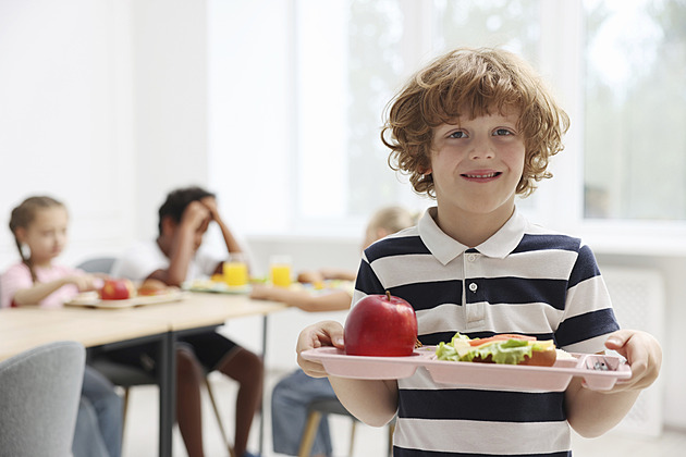 Sebrat dávky rodičům a dát je do škol. Juchelka chce změny přídavků na děti