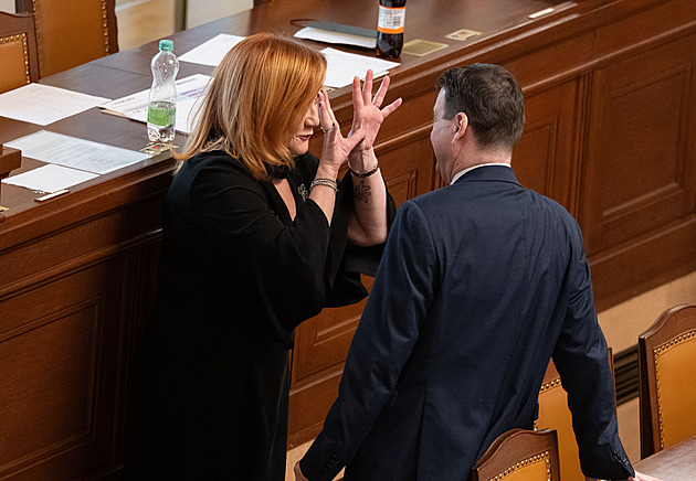 Koalice prosadila rozpočet a schodek 310 miliard. Poslanci překvapili Schillerovou