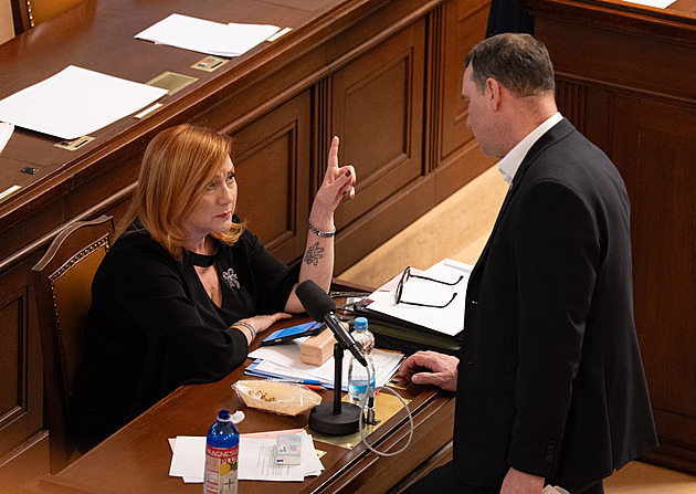 Změna zjednoduší odpisy, menší spolky už nebudou muset vést účetnictví