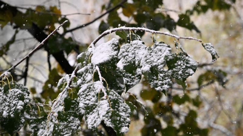 Česko čeká extrémní proměna počasí: Teploty spadnou z 18 °C pod bod mrazu, vrátí se i sněžení