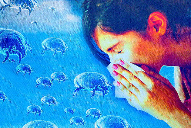 Neviditelní nepřátelé v domácnosti. Tipy, jak zvládnout alergeny