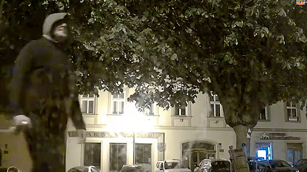 Policie hledá vandala, který v Chebu nasprejoval svastiky. Zachytily ho kamery