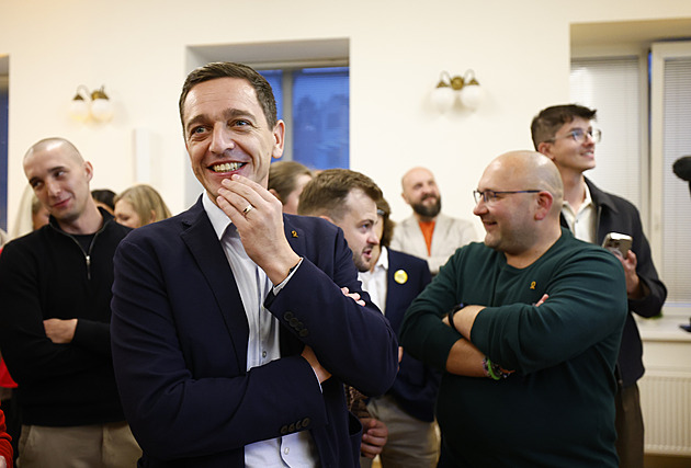 Výsledky voleb do Senátu: Grulich obhájil. Křeslo mají jisté i Grolich, Sobotka a Fiala