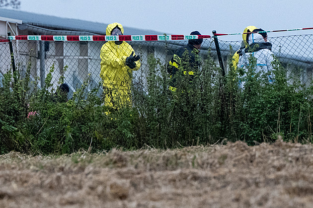 Kvůli salmonele v chovu likvidují třicet tisíc nosnic. Asistuje policie